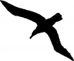 Motif à tricoter oiseaux/albatros1