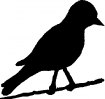 Motif à tricoter oiseaux/oiseau3