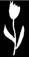Gabarit fleur N° 1