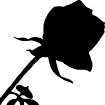 Motif à tricoter fleurs/rose1