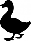 Motif à tricoter oiseaux/canard2