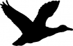 Motif à tricoter oiseaux/canard3