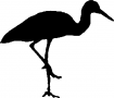 Motif à tricoter oiseaux/cigogne1