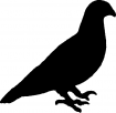 Motif à tricoter oiseaux/oiseau6